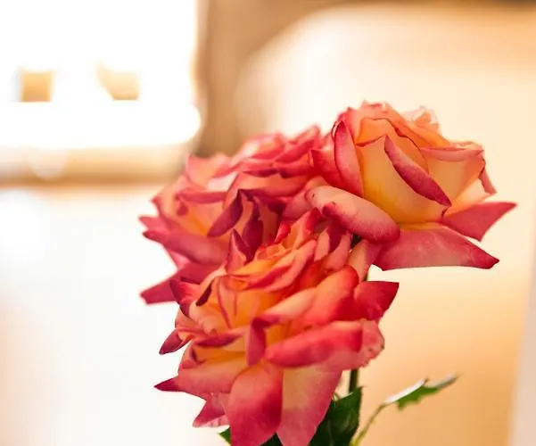 Molino De Jaranda Lägenhet *