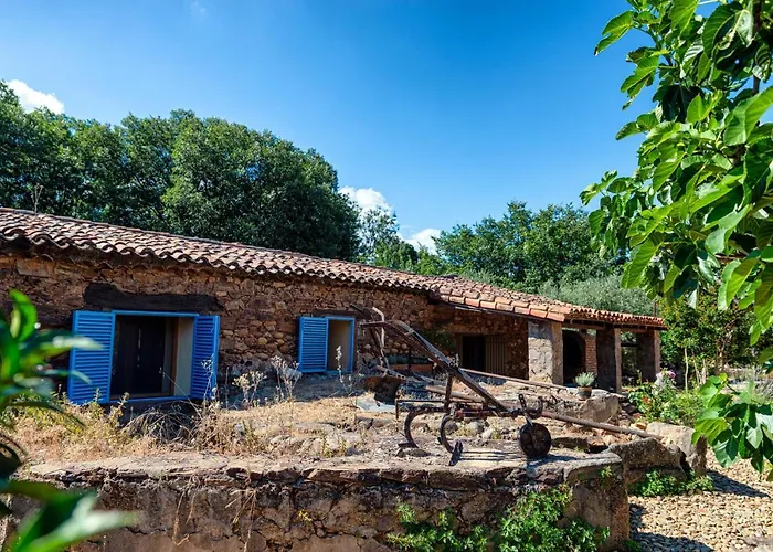 Molino De Jaranda Apartment